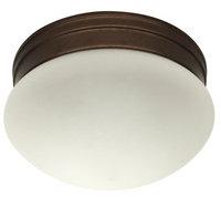 LED Ceiling Mount